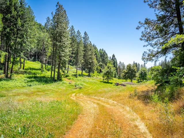 Land for sale in Georgetown, California