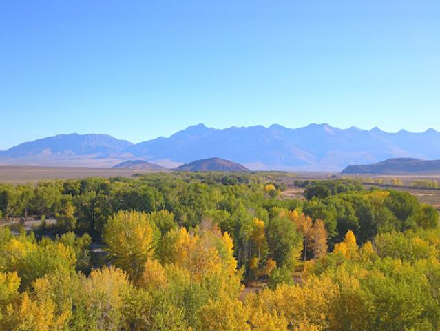 Land for sale in Mackay, Idaho