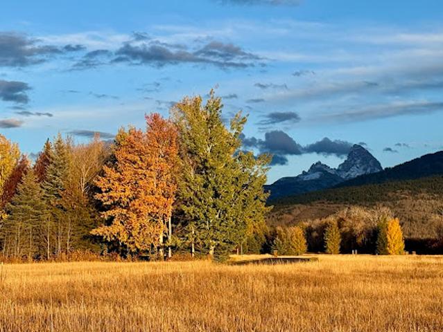 Land for sale in Driggs, Teton County