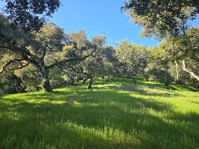 Land for sale in California