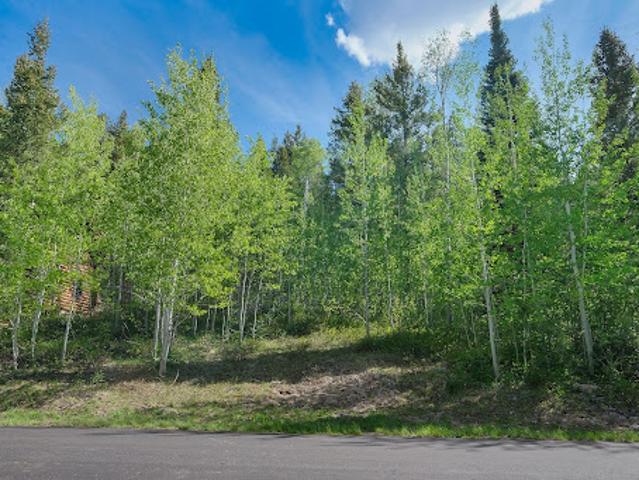 Land for sale in Victor