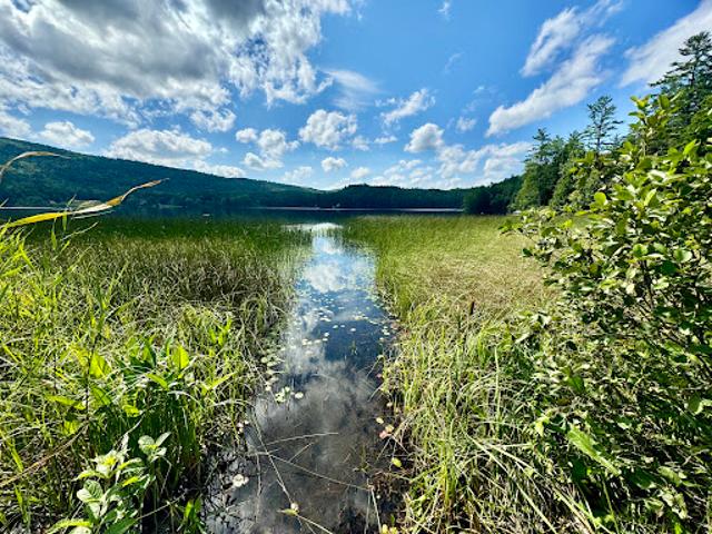Land for sale in New Hampshire