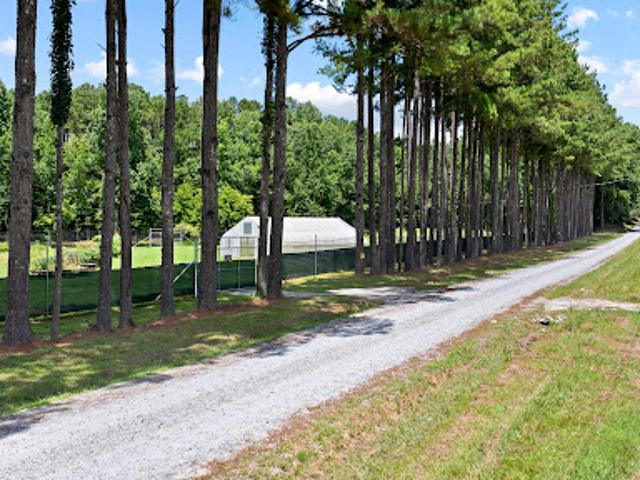 Land for sale in Georgia