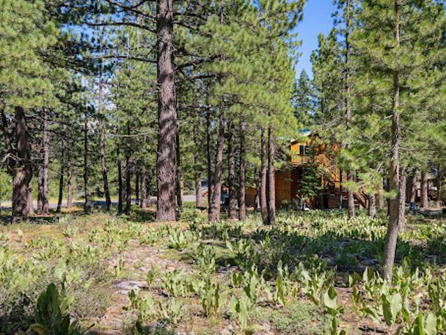 Land for sale in Truckee, California