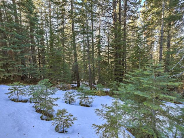 Land for sale in South Lake Tahoe, California