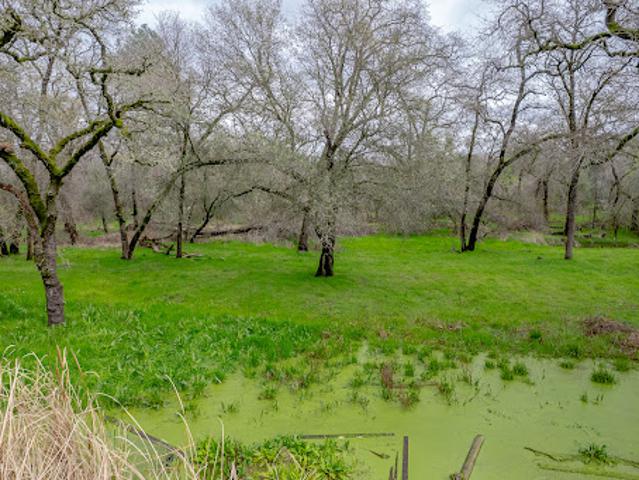 Land for sale in Loomis, California