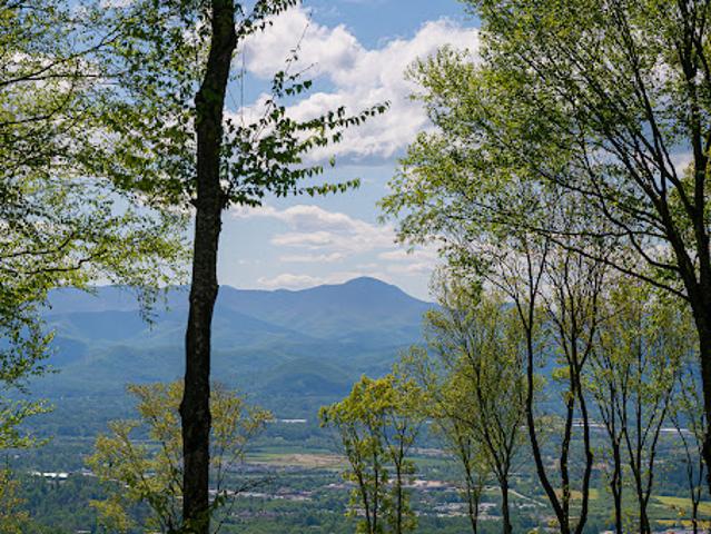 Land for sale in Fletcher, North Carolina