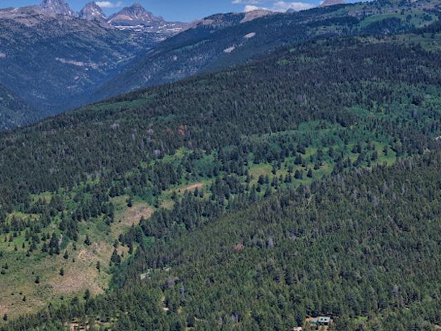 Land for sale in Victor