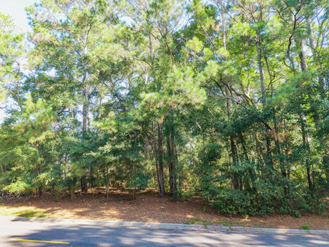 Land for sale in Savannah, Georgia