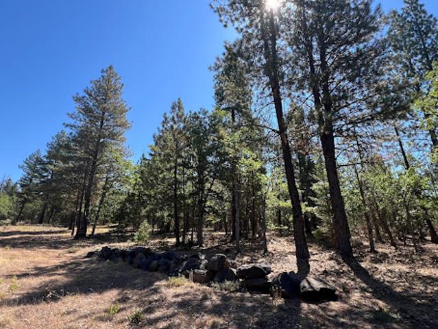 Land for sale in Goldendale, Washington