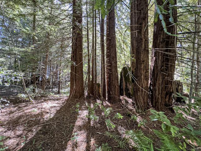 Land for sale in The Sea Ranch, California