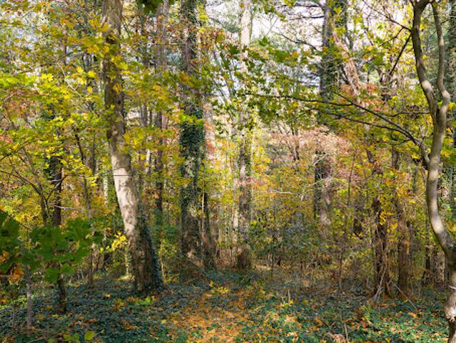 Land for sale in Asheville, North Carolina
