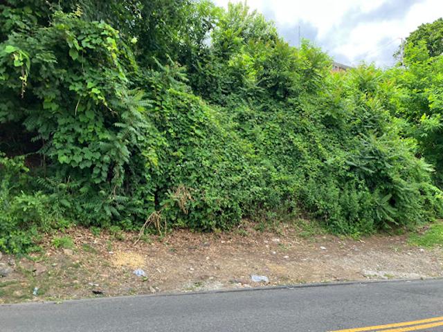 Land for sale in Glenwood, New York