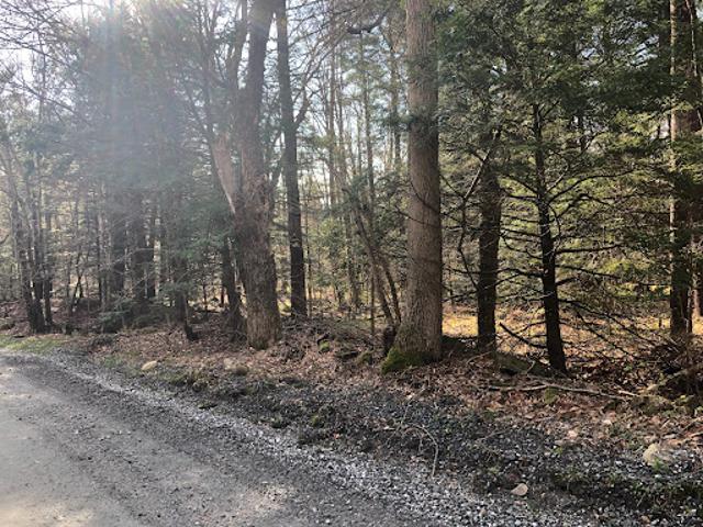 Land for sale in Berkshire, Massachusetts
