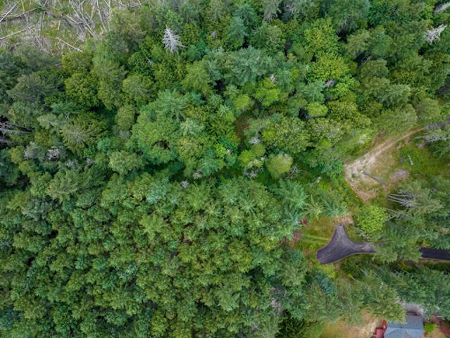 Land for sale in Bainbridge Island, Washington