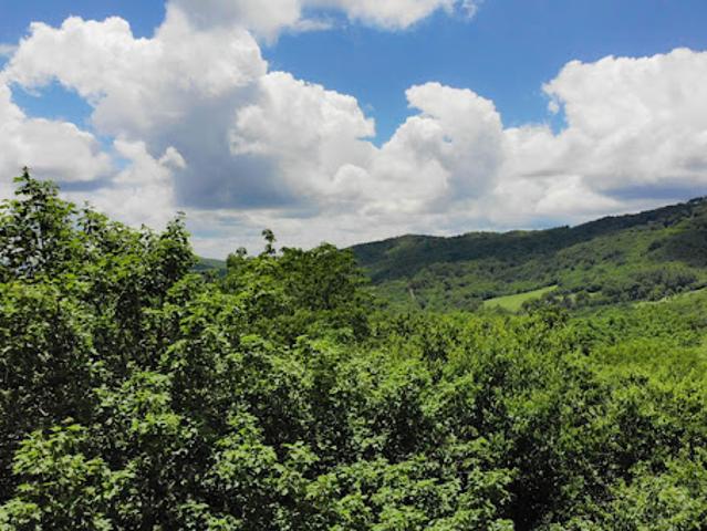 Land for sale in Linville, North Carolina