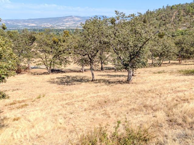 Land for sale in Oregonia