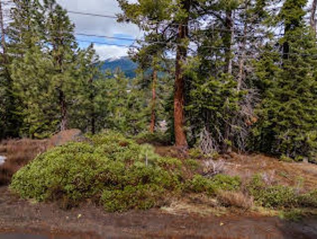 Land for sale in Truckee
