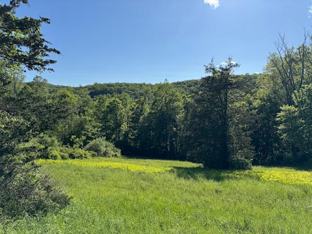 Land for sale in Sherman, Connecticut
