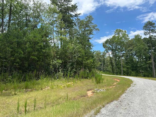 Land for sale in Georgia