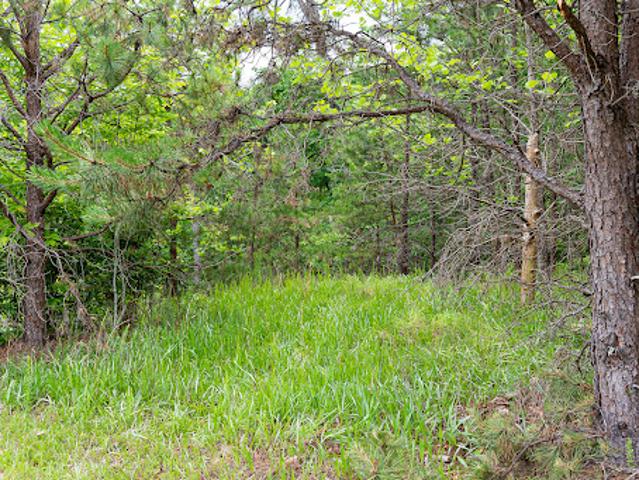 Land for sale in North Carolina