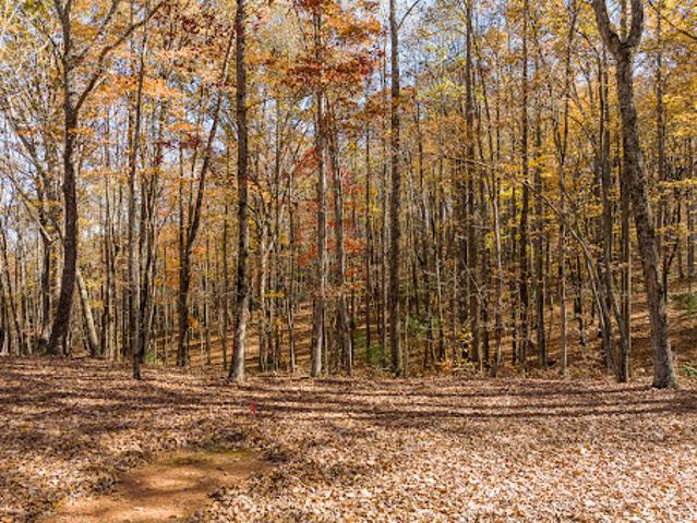 Land for sale in Gilmer, Georgia