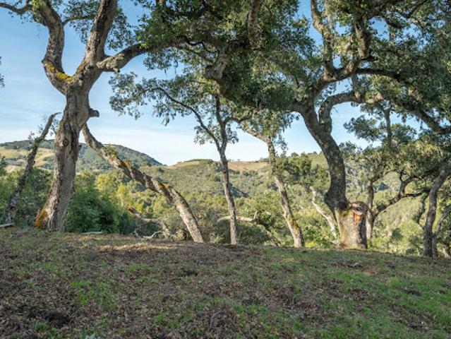 Land for sale in California