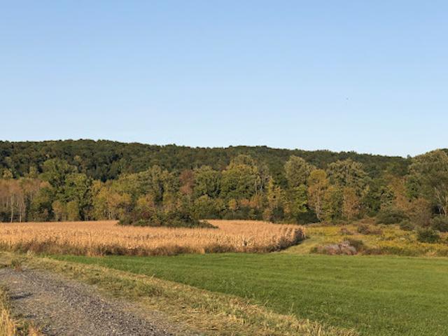 Land for sale in New York