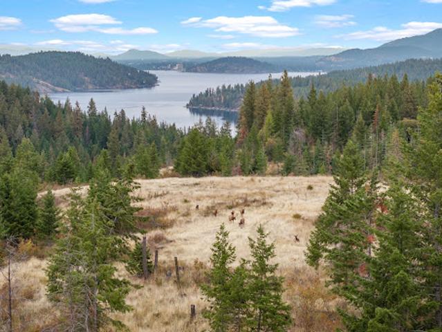 Land for sale in Harrison, Kootenai County