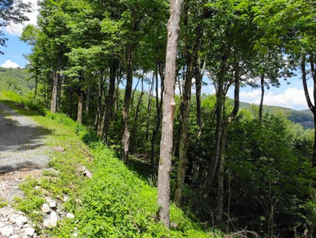 Land for sale in Linville, North Carolina