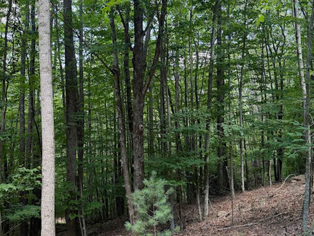 Land for sale in Watauga, North Carolina