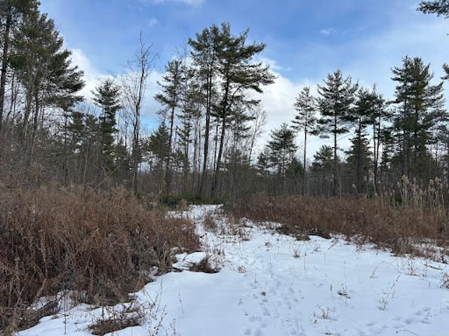 Land for sale in Essex, New York