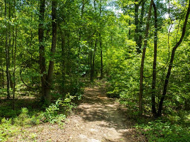 Land for sale in Georgia
