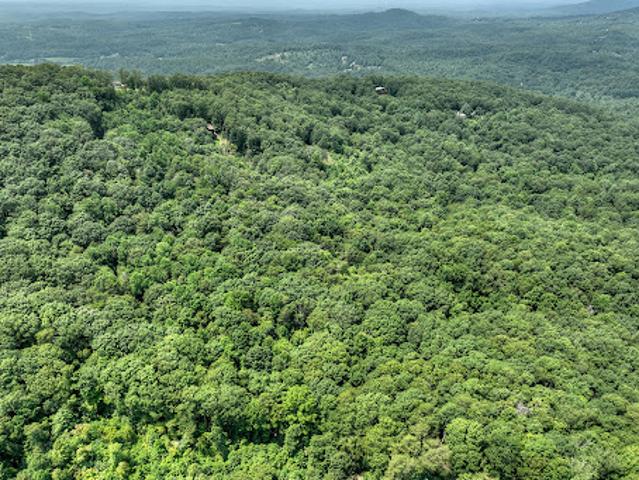 Land for sale in Mineral Bluff