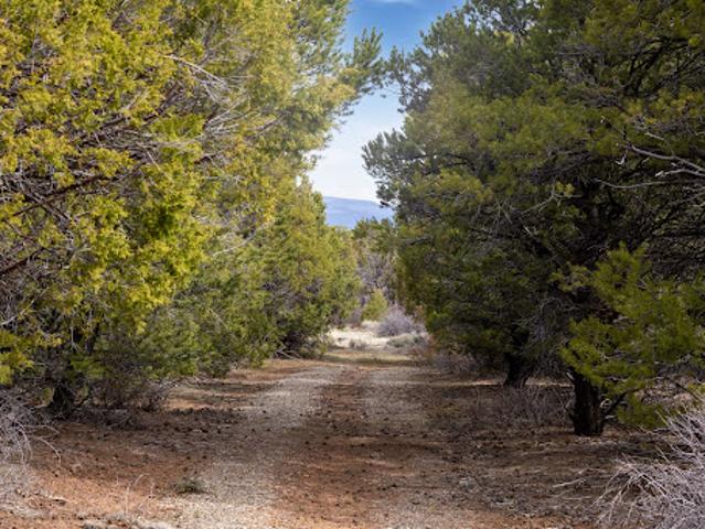 Land for sale in Norwood, Colorado