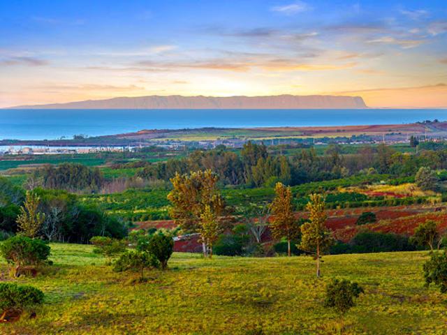Land for sale in Kalaheo, Hawaii