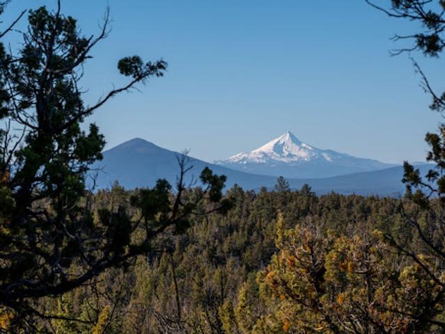 Land for sale in Oregonia