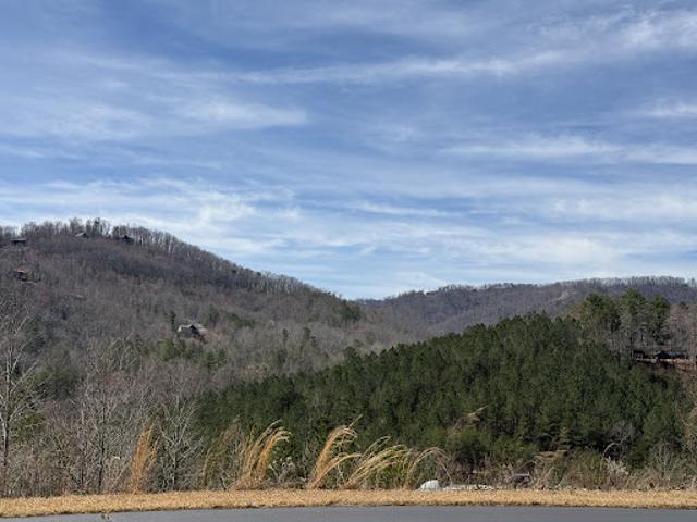 Land for sale in Rutherford, North Carolina