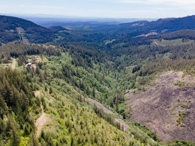 Land for sale in Washougal, Washington