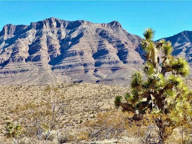 Land for sale in Meadview, Arizona