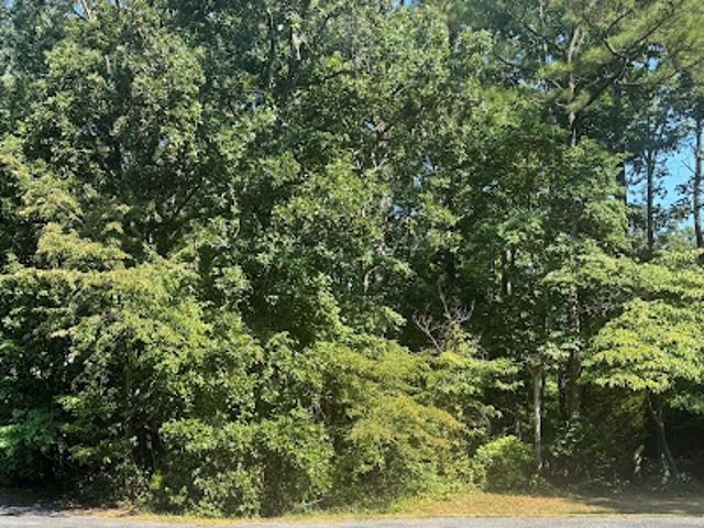 Land for sale in Virginia