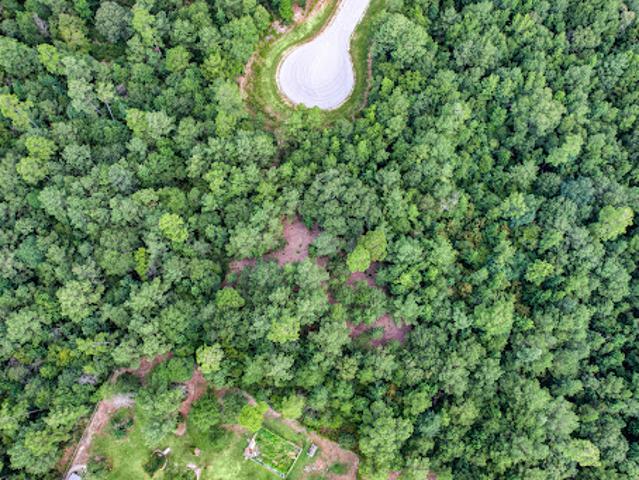 Land for sale in Walker, Texas