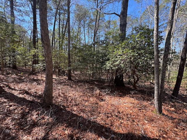 Land for sale in Virginia
