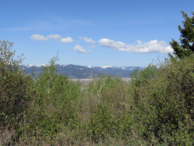 Land for sale in Victor, Idaho