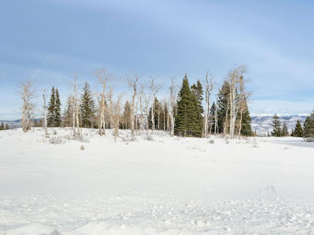 Land for sale in Eagle, Colorado