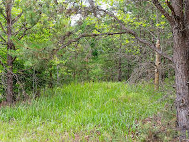 Land for sale in Horse Shoe