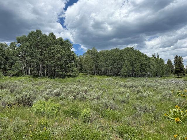 Land for sale in Colorado