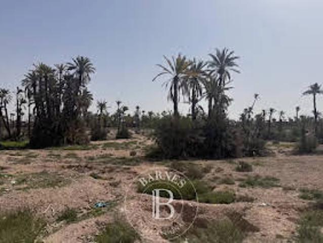 Terrain vente à Marrakech, L'Oriental