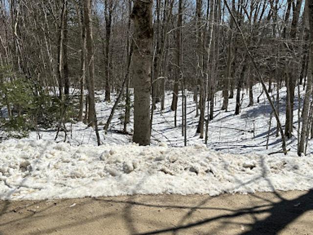 Land for sale in New Hampshire