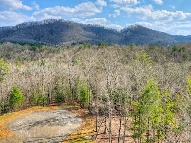 Land for sale in Georgia